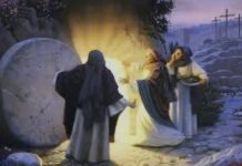 Renungan Harian: Melalui Kesaksian Kecil Kita, Terang Kristus Terus Hadir di Dunia