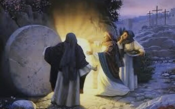 Screenshot_20260405_233436_Google