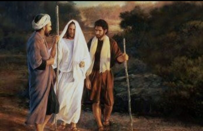 Screenshot_20260408_052520_Google