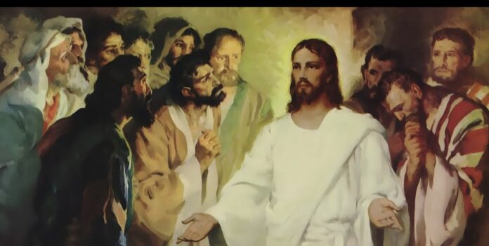 Screenshot_20260411_011751_Google