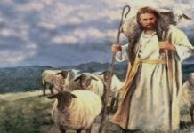 Renungan Harian: Gembala yang Mengenal Domba-domba-Nya