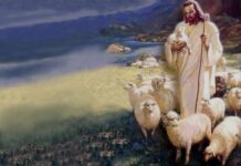 Renungan Harian: Menjadi Domba yang Mendengarkan dan Mengikuti-Nya Dengan Setia