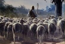 Renungan Harian: “Domba-Domba yang Mengenal Suara Tuhan”